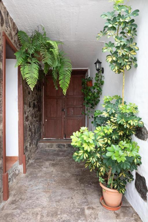 Casa Canaria Acero Гарачико Экстерьер фото